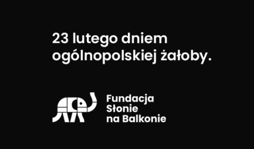 Światowy Dzień Walki z Depresją | O ogólnopolskiej kampanii „Żałoba 146 rodzin” 