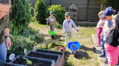 Przedszkolaki z PM1 zakładają ogród warzywny