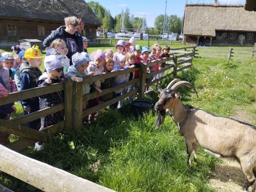 PM1 na wyciecze w Muzeum Kultury Ludowej w Węgorzewie	