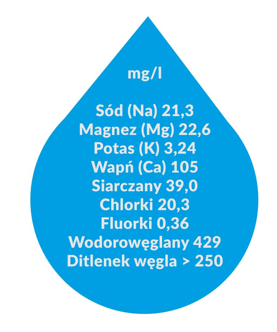 mg/l Sód (Na) 21,3 Magnez (Mg) 22,6 Potas (K) 3,24 Wapń (Ca) 105 Siarczany 39,0 Chlorki 20,3 Fluorki 0,36 Wodorowęglany 429 Ditlenek węgla > 250